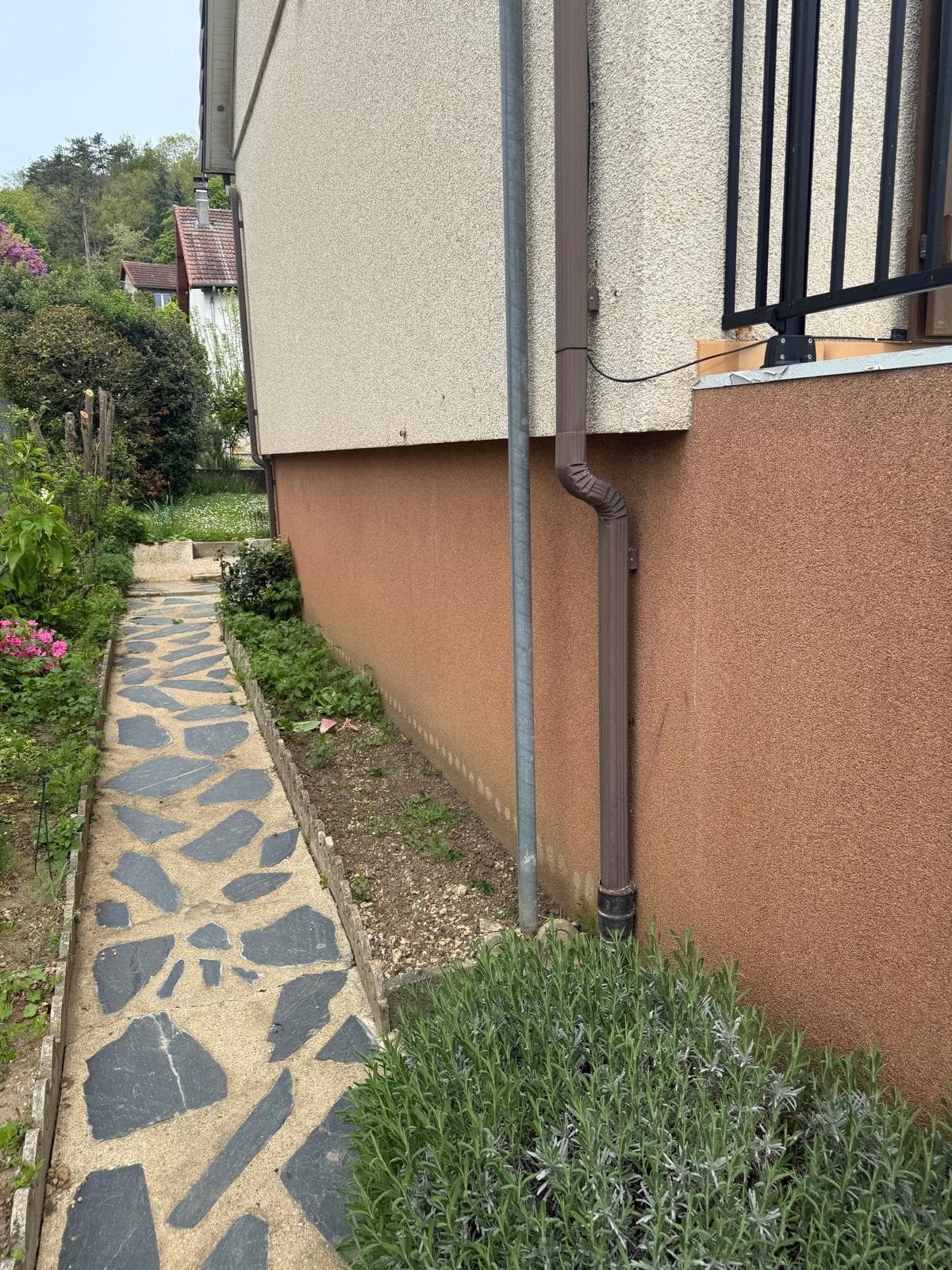 Chemin de jardin avant rénovation